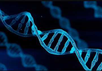 Genetik Verilerin İşlenmesinde Dikkat Edilmesi Gereken Hususlar